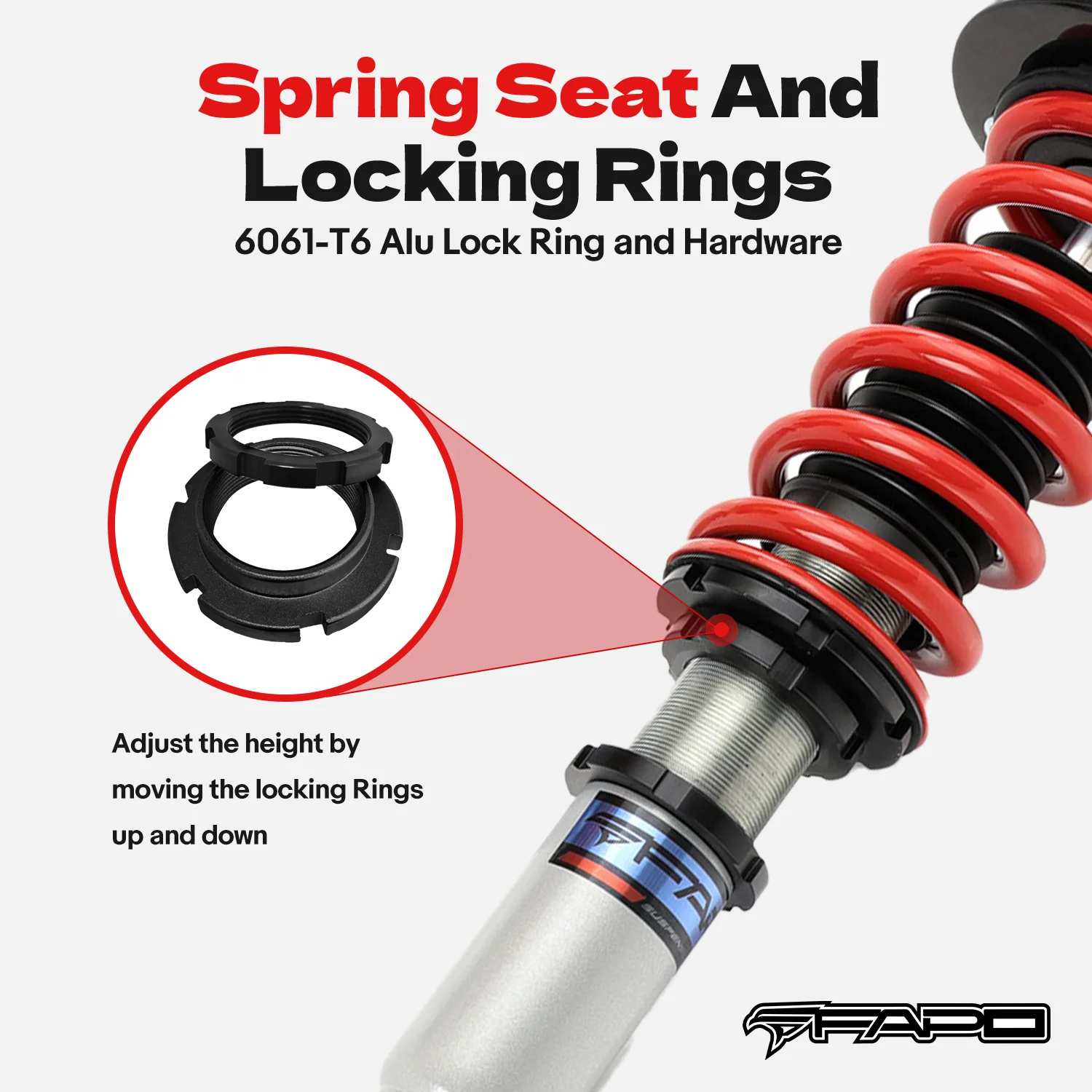 Coilover for Honda accord 2003-2007 CM Acura TSX 2004-2008 CL9 PS012310 - Image 4